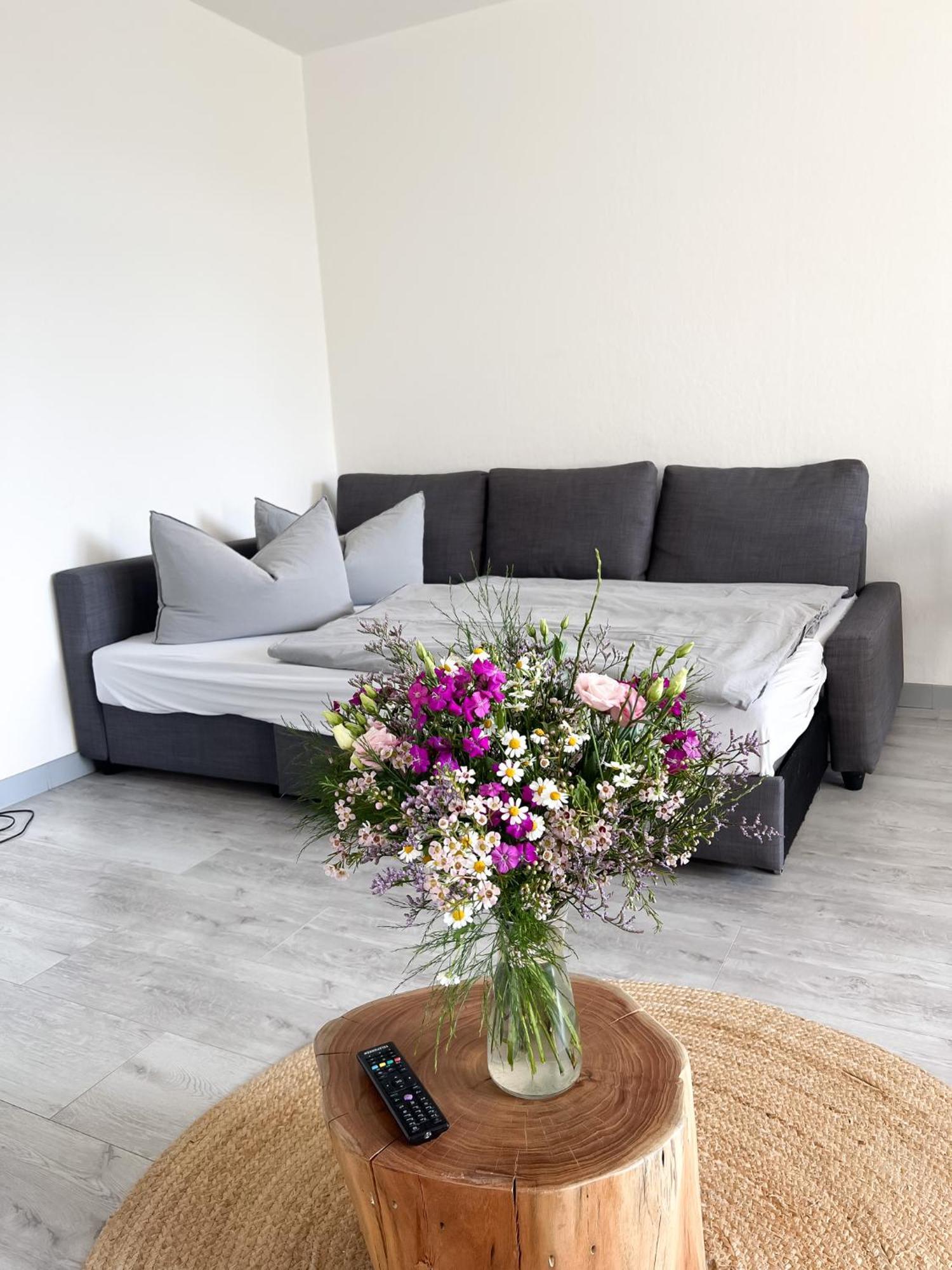 Apartment Suennanbeter Mit Pool Fuer 2-4 Personen Даме Экстерьер фото